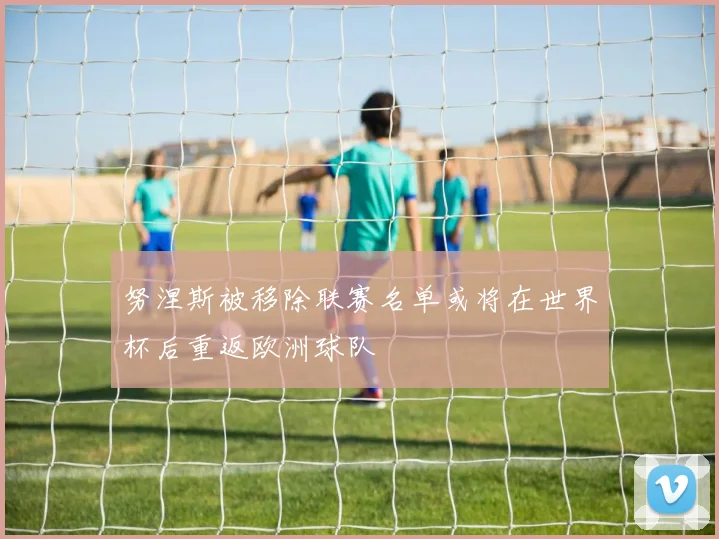 努涅斯被移除联赛名单或将在世界杯后重返欧洲球队