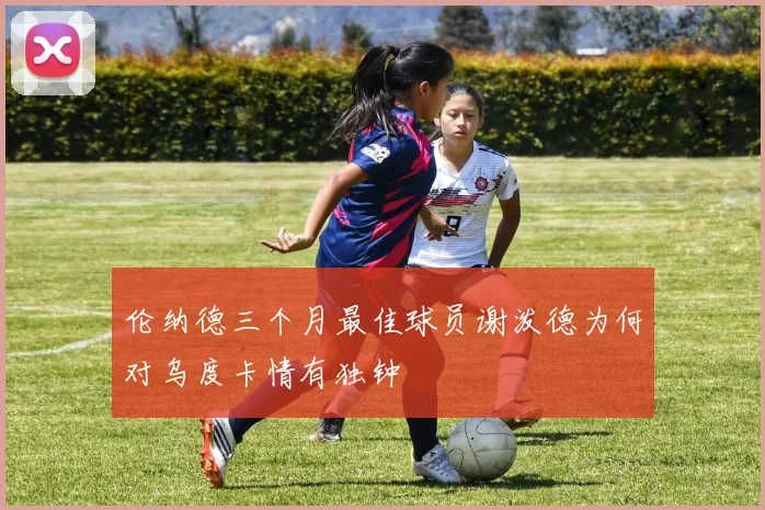 伦纳德三个月最佳球员谢泼德为何对乌度卡情有独钟