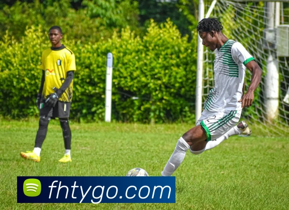 凤凰体育服务体系